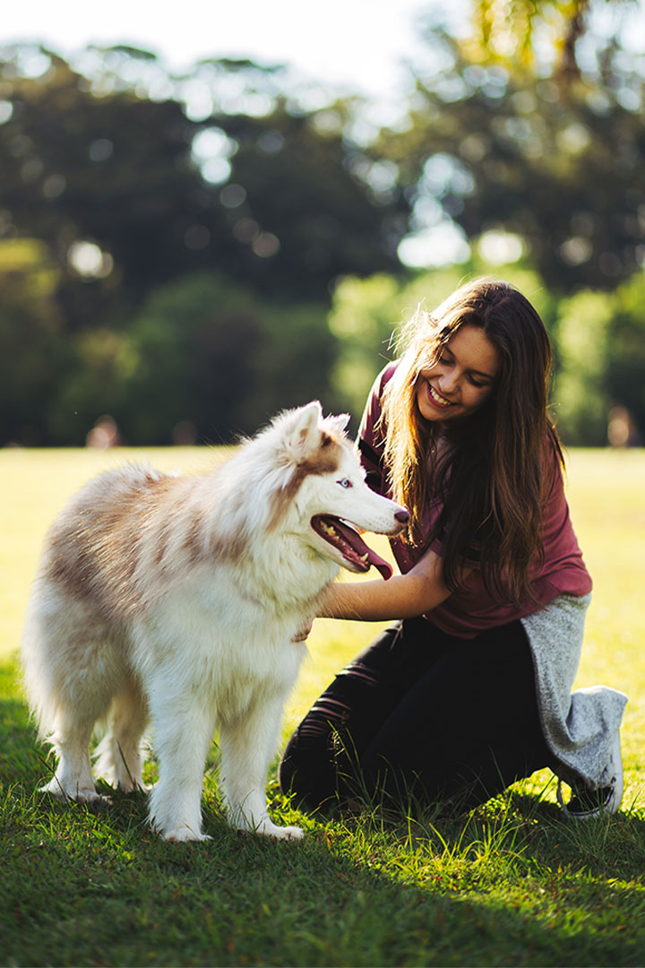 A woman kneels in a grassy park, smiling at a fluffy white and tan dog. The sun shines brightly, creating a warm, inviting atmosphere. Trees are blurred in the background as she practices her skills as an aspiring veterinarian.