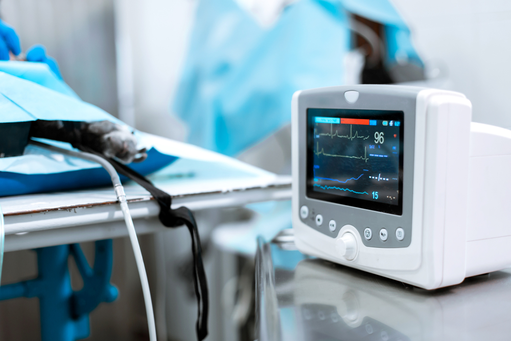 A medical monitor displays vital signs, showing a heart rate of 96, with ECG waves on the screen. An adjacent surgical table is visible with blue sterile drapes and veterinary instruments, reflecting the meticulous care of a dedicated veterinarian.